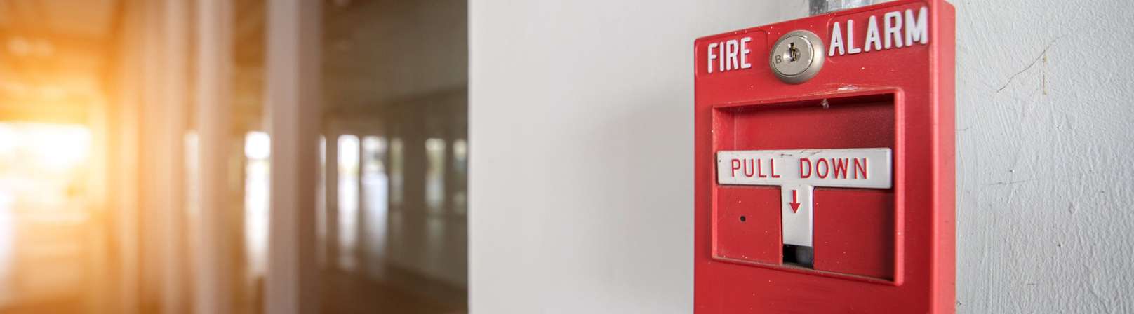 BWL Professional Bid Services successfully support Fire and Security Contractor