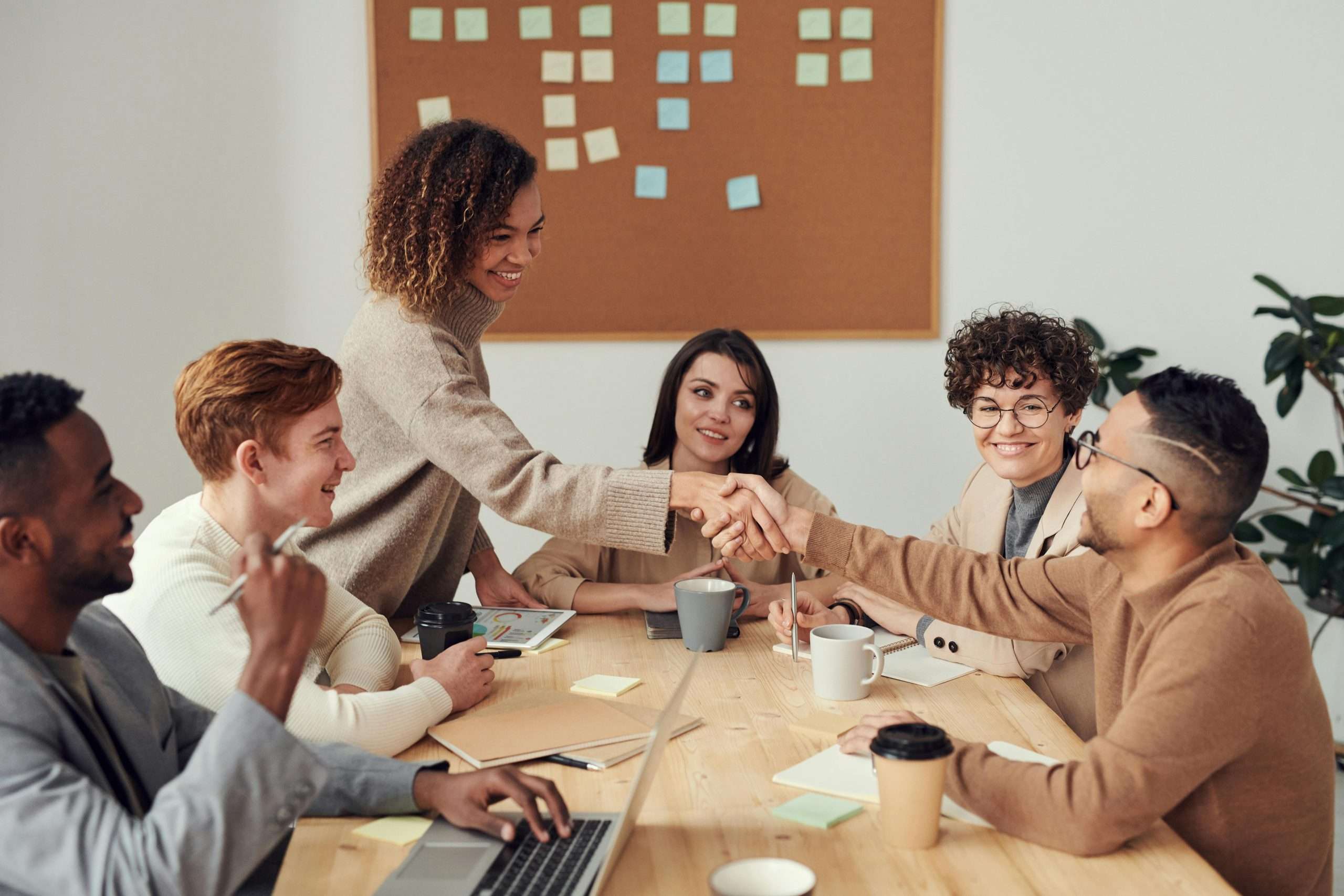 How BWL Group Delivers Winning Proposals